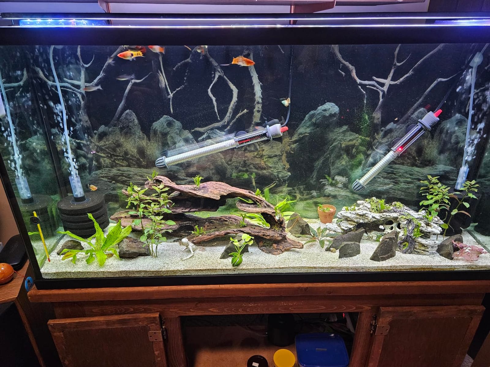 NICREW C10 Plant Aquarium Light, 12-18 in, 9W, Full Spectrum with Timer customer photo 2