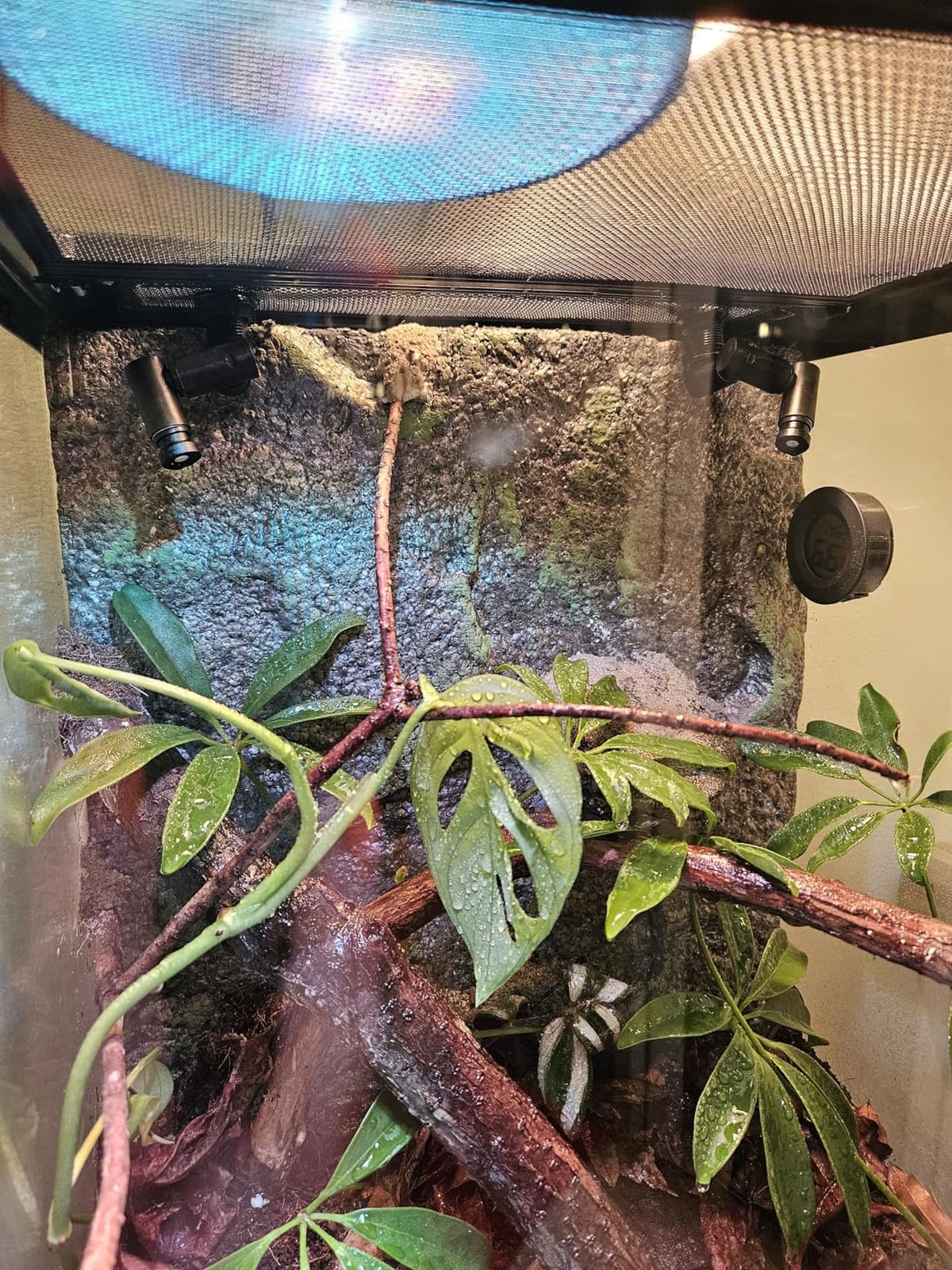Reptile Misting System with Timer customer photo 2