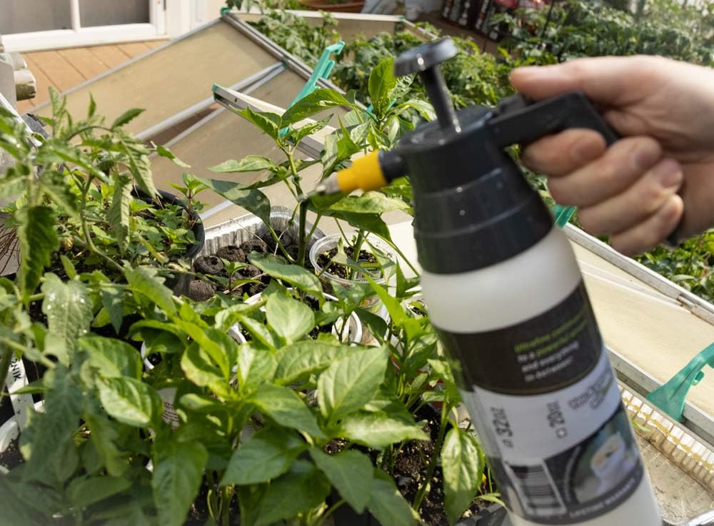 Reptile Mister 20 oz by ExtremeMist | Terrarium Humidity Sprayer customer photo 1
