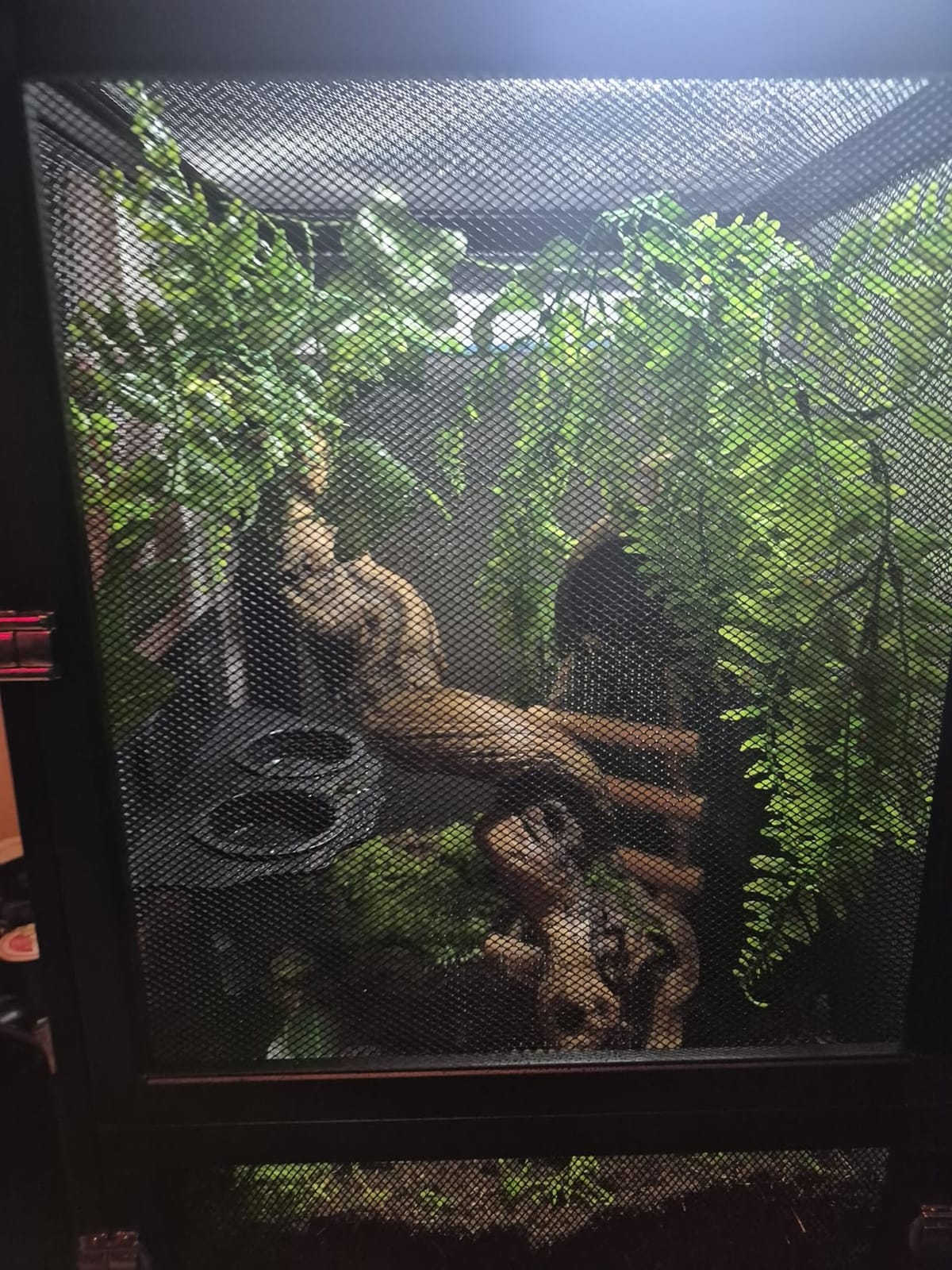 RunDuck Foldable Reptile Terrarium Kit, 45 Gallon 32
