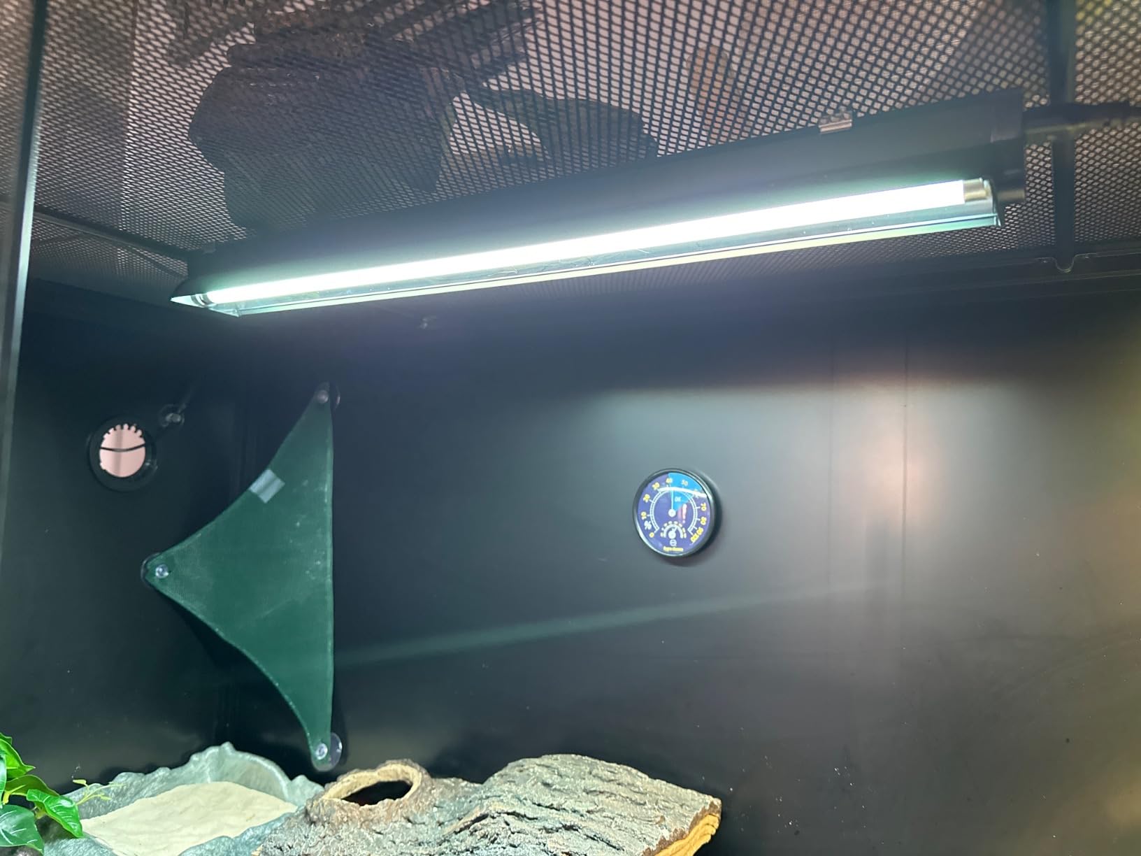 T5 UVB Reptile Light Kit, 39W T5 Reptile Light Fixture with UVB 10.0 Fluorescent Bulb, 35 in Terrarium Hood Light Fixture, Ideal for Tropical and Desert Habitats Reptile customer photo 2