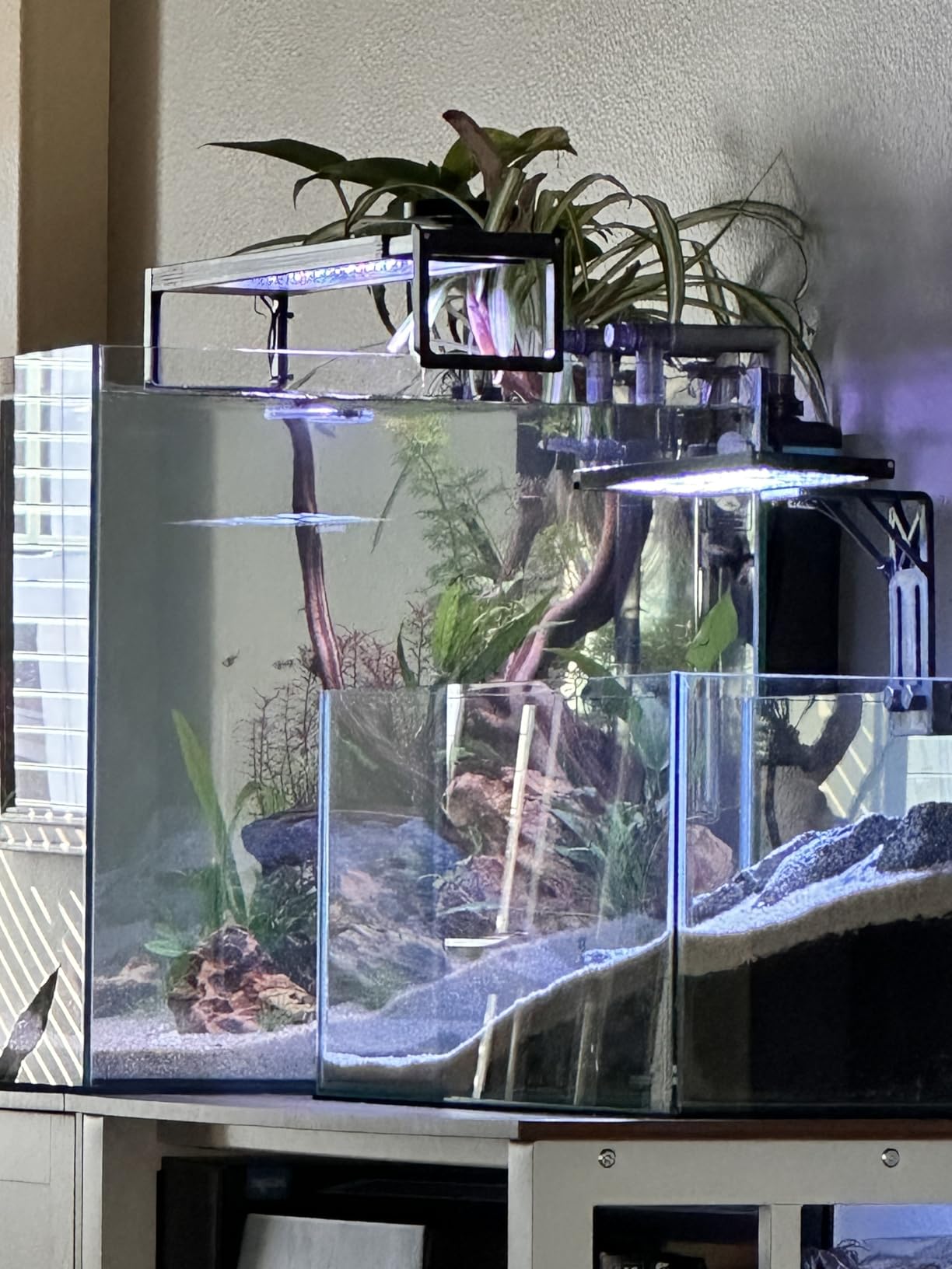 SEAOURA Clip On Aquarium Light for Plants-24/7 Fish Tank Light, 7-12 Inch customer photo 2