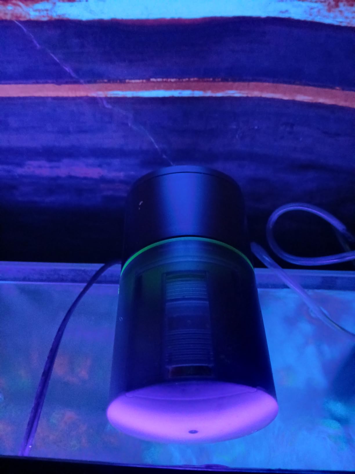 Automatic Fish Feeder for Aquarium Easy Setup & 12/24/48H Interval customer photo 1