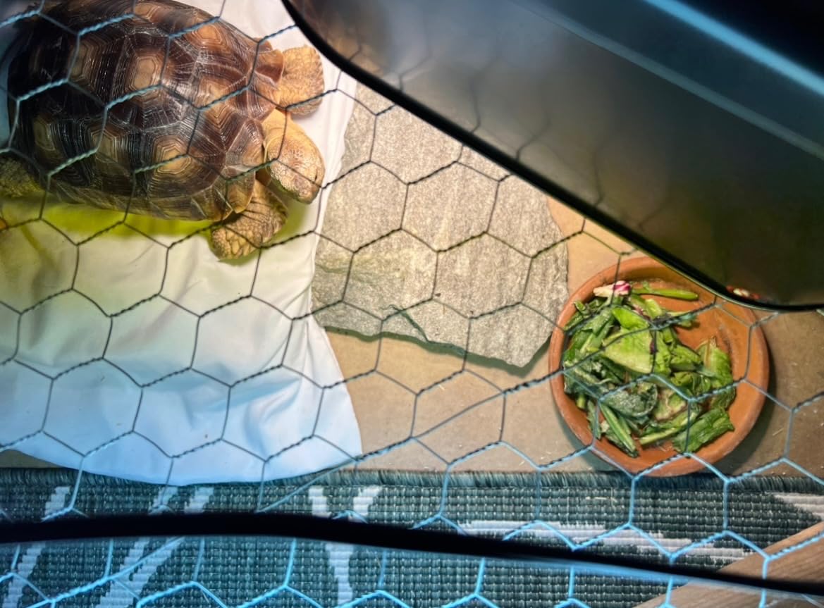 REPTI ZOO Reptile Heat Lamp Combo Pack with Dual Reptile Light Fixture, 100W Intense Basking Spot Light UVA Daylight Heating Lamp & 26W Energy Saving UVA UVB Bulb Spiral Compact Bulb 10.0 customer photo 1