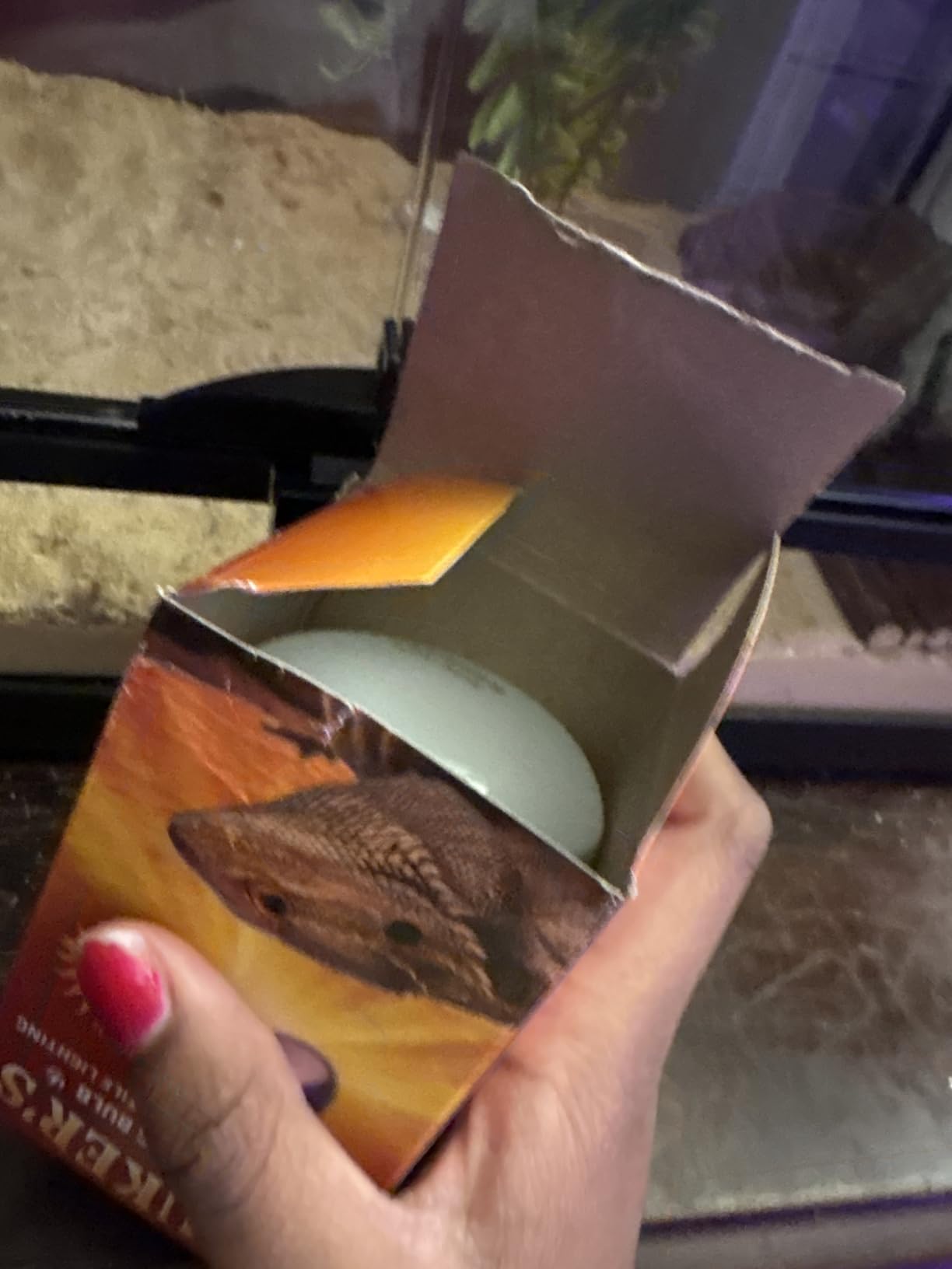 UVB Reptile Light, 10.0 24W, UVA UVB Reptile Light Bulb Lamp for Bearded Dragon, UVB Bulbs for Desert Reptiles customer photo 1