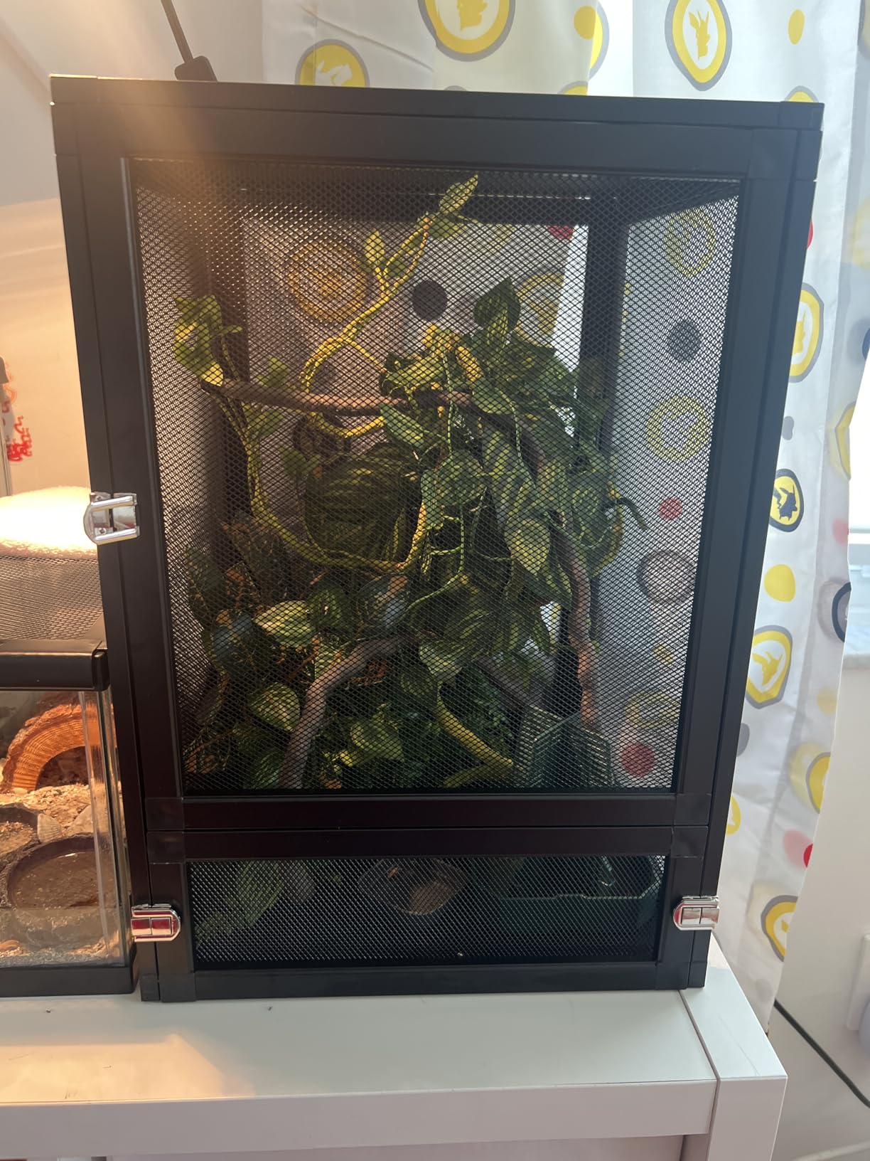 33 Gal Foldable Reptile Terrarium for Gecko & Dragon customer photo 2