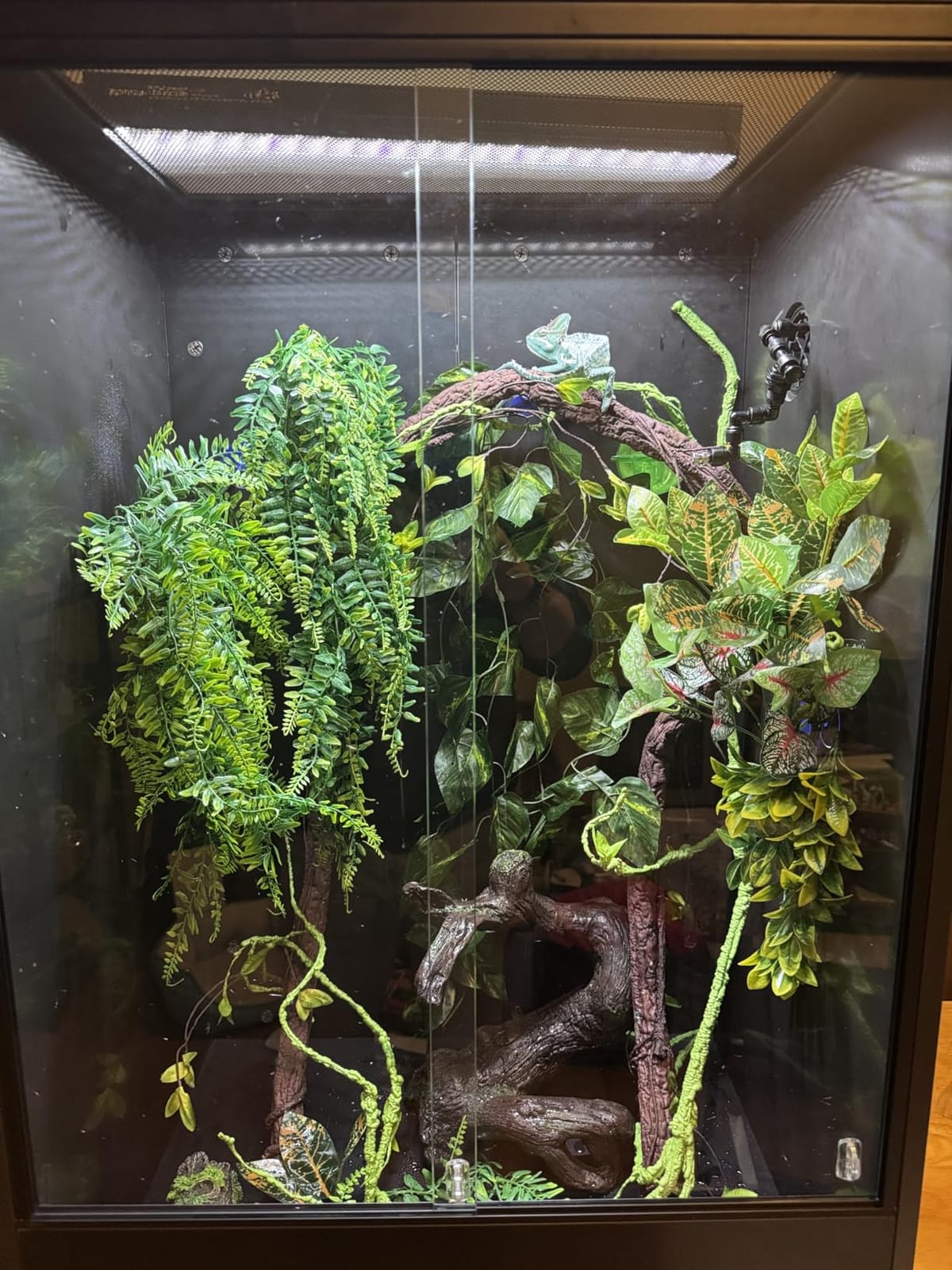 REPTI ZOO 67 Gallon PVC Tall Reptile Tank, 24 x18x36 inch Large Reptile Terrarium for Gecko Lizard Chameleon Frog Snake, Enclosure Habitat with Sliding Door & Top Screen Ventilation customer photo 1