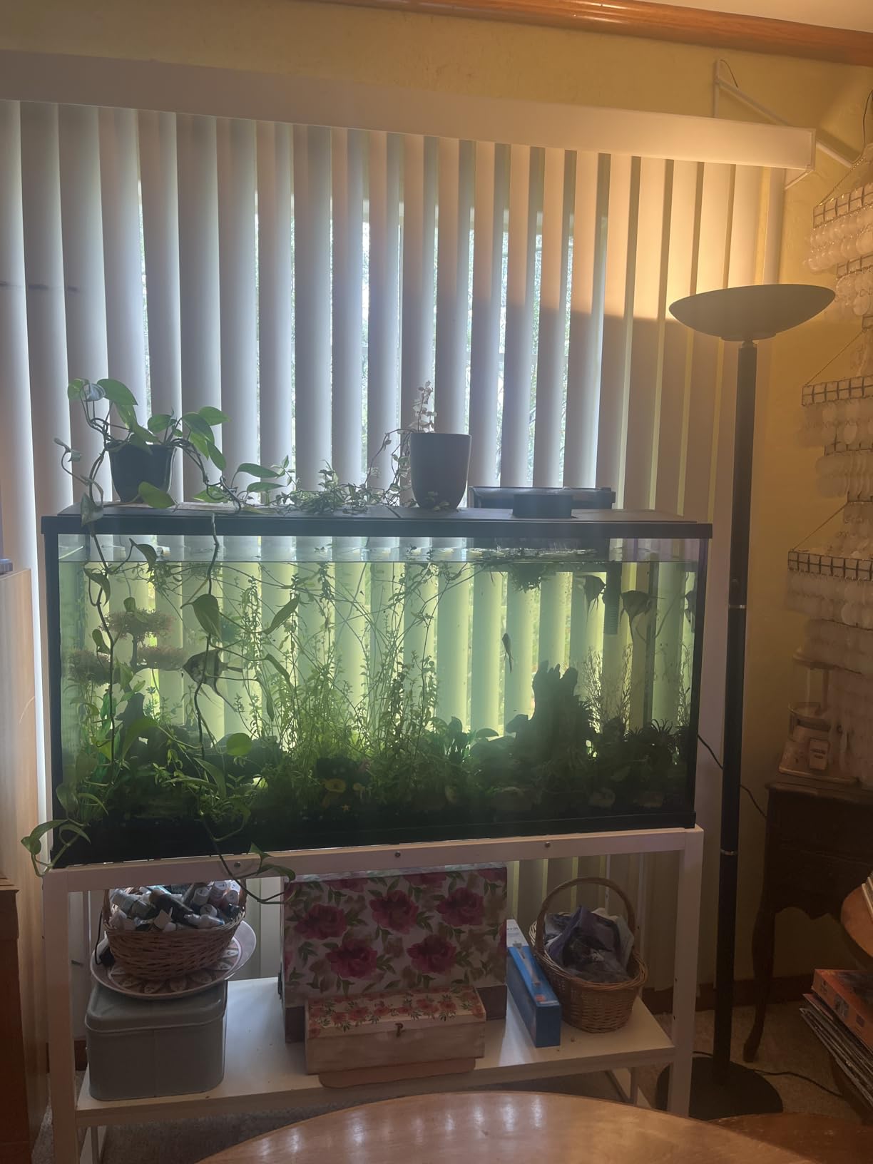 VOWNER 55-75 Gallon Fish Tank Stand, Metal Aquarium Stand, Black customer photo 2