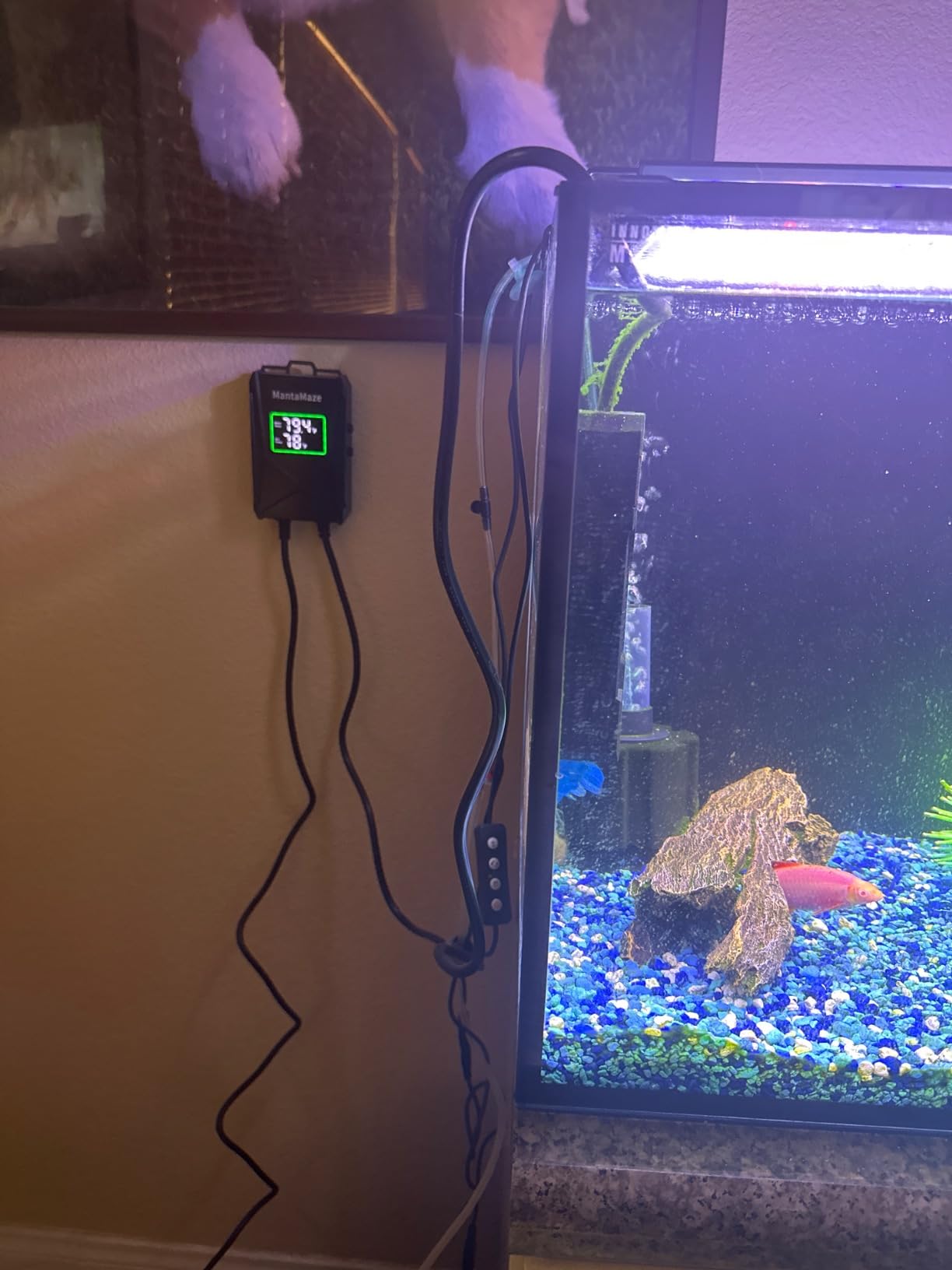 Submersible Aquarium Heater,300W/500W/800W/1000W Fish Tank Heater customer photo 1