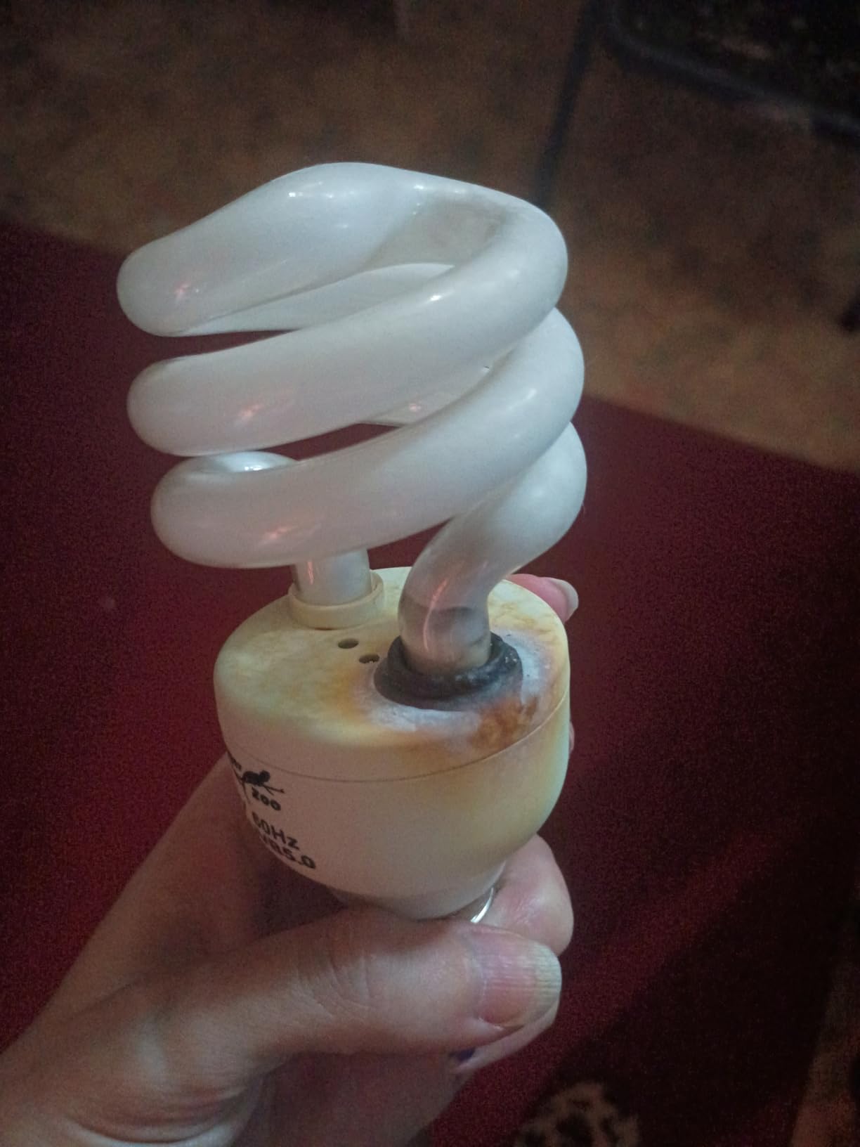 UVB Reptile Light UVA UVB Bulb, 10.0 18W UVB Light for Reptiles Bearded Dragons, UVA UVB Reptile Light Bulb Reptile Lamp for Bearded Dragon Lizards Turtles Snakes Geckos Desert Reptile Tank customer photo 2