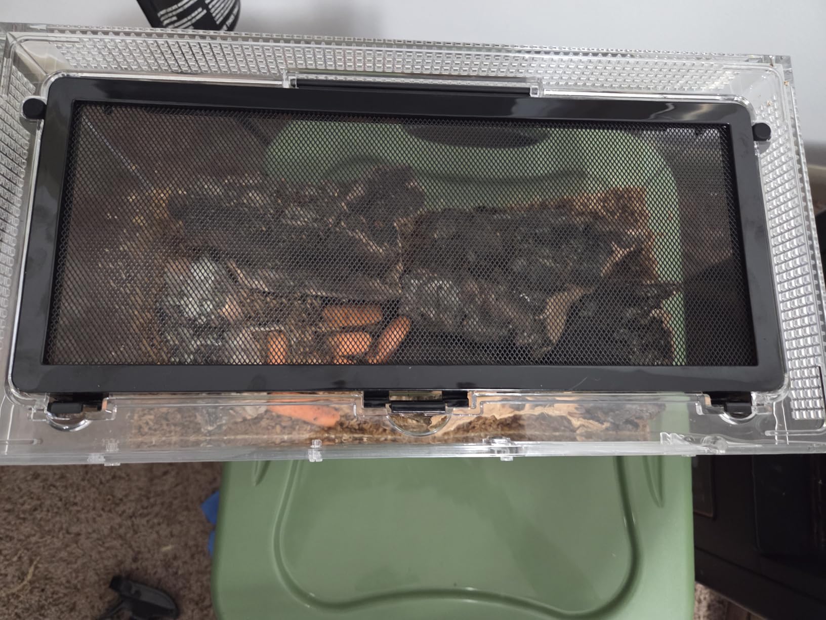 Mini Reptile Terrarium Set,11.8