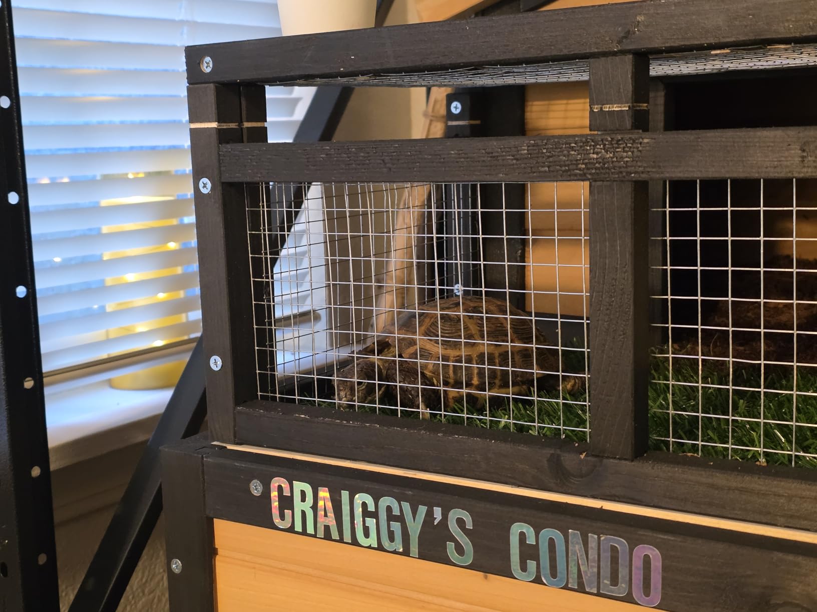 3-Room Large Tortoise Habitat with Pull-Out Tray, Wooden Reptile Enclosure Indoor & Outdoor with Ramp, Grass Mat, Openable Roof, Reptile Cage for Small Animals, Luxurious Tortoise House Villa, Gray customer photo 1
