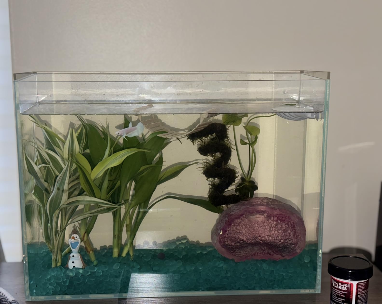 Ultra Clear Glass Fish Tank, 16 Gallon，6mm Thickened Rimless Aquarium Tank Low Iron, Large Big Aquarium 23.6in x11.8 in x14.2in customer photo 1
