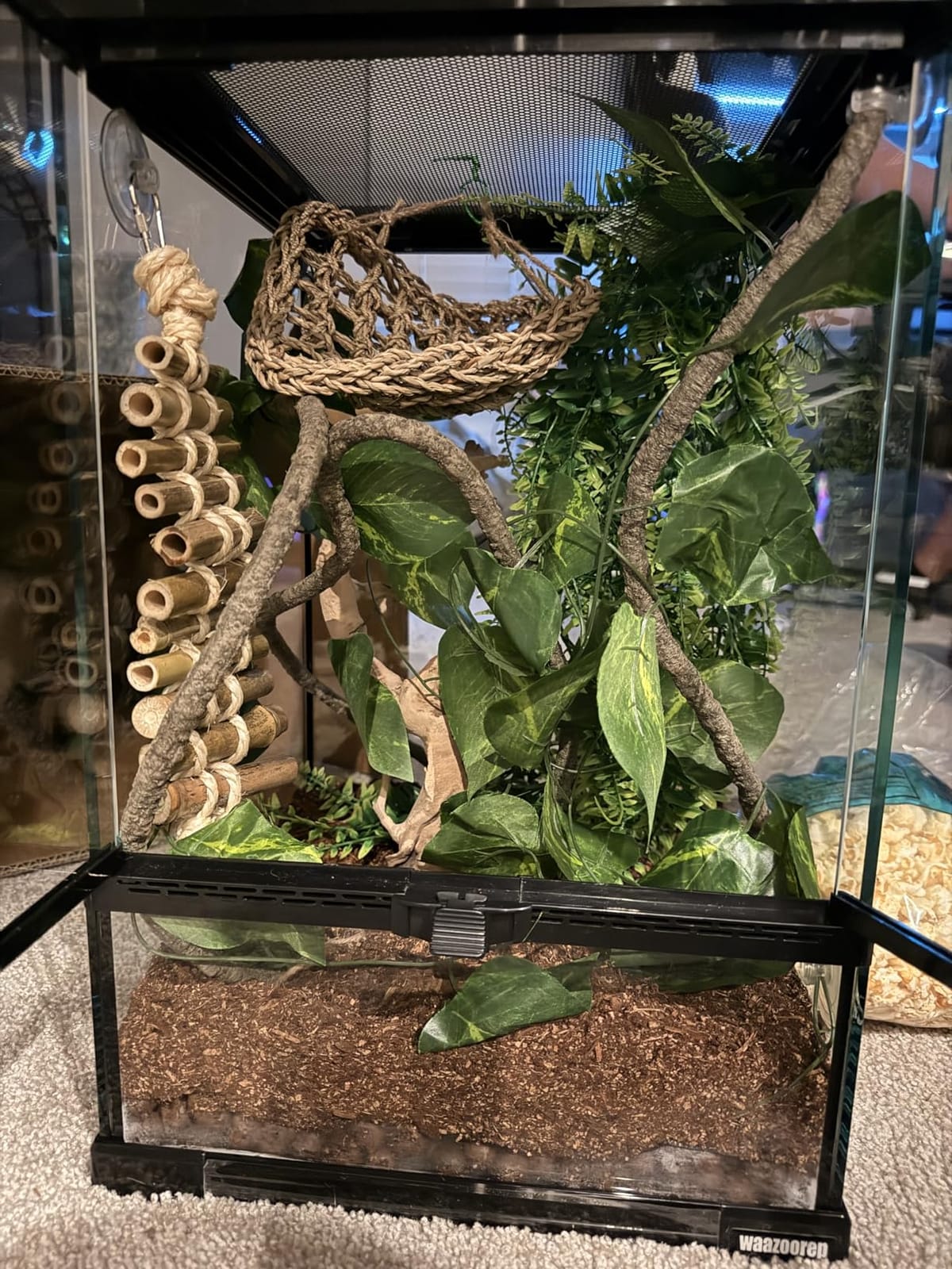 11 Gallon Tall Reptile Glass Tank 12