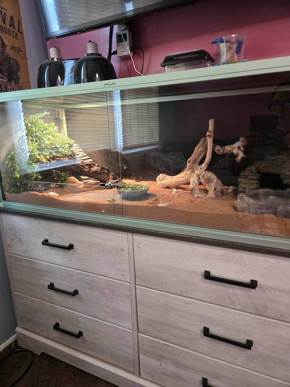 REPTI ZOO 120 Gallon Reptile Terrarium, 4x2x2 ft Light Weight Reptile Enclosure, Colored Reptiles Tank with Tempered Glass Door, Large Aluminum Habitat for Bearded Dragon, Snake, Lizard, Gecko-Purple customer photo 1