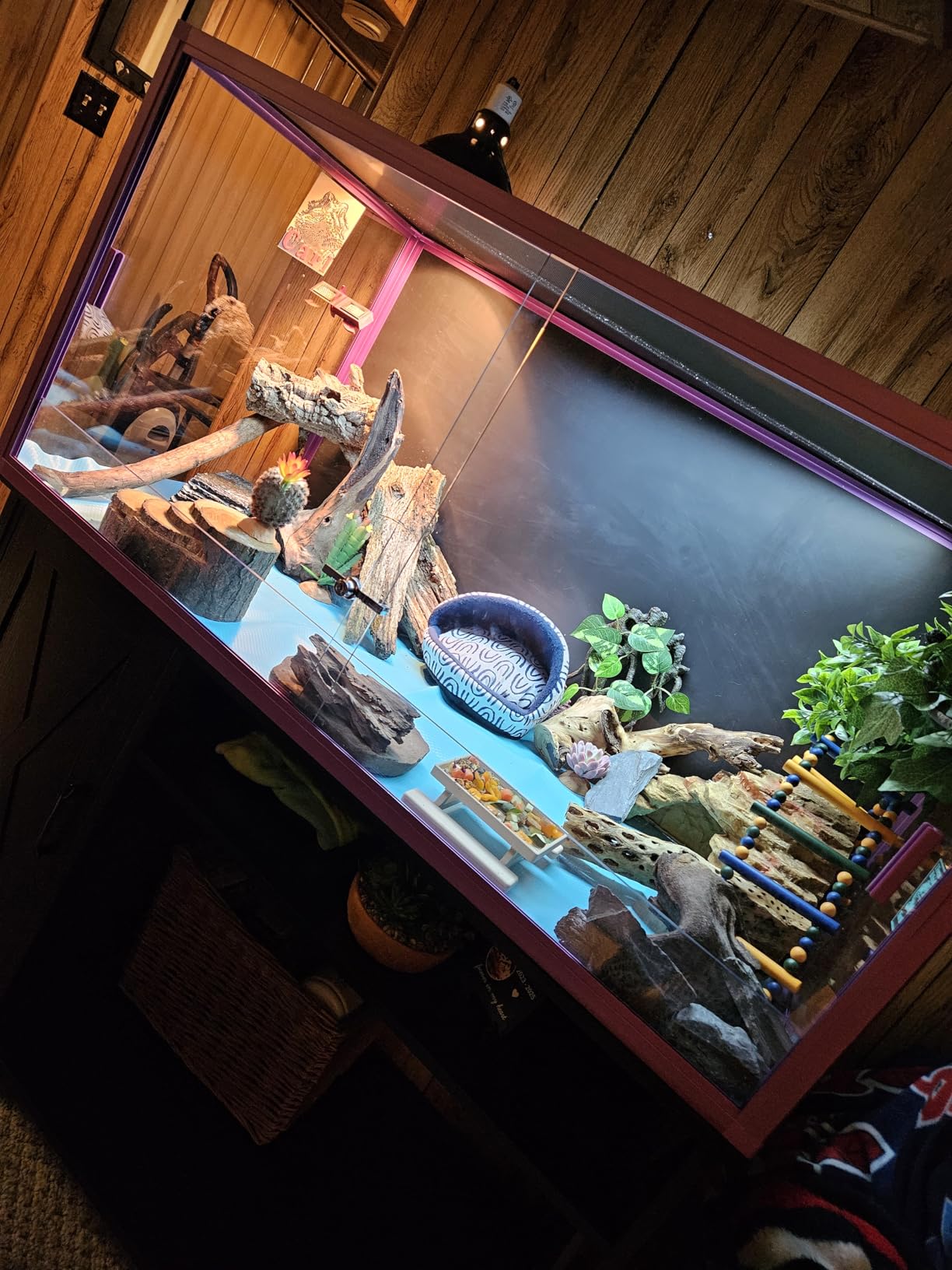 REPTI ZOO 120 Gallon Reptile Terrarium, 4x2x2 ft Light Weight Reptile Enclosure, Colored Reptiles Tank with Tempered Glass Door, Large Aluminum Habitat for Bearded Dragon, Snake, Lizard, Gecko-Purple customer photo 2