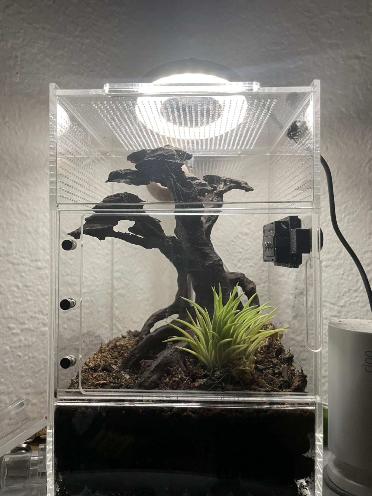 Jumping Spider Enclosure - Acrylic Terrarium Habitat for Spiders, Tarantulas, Snail, Mantis, Lizard, and Small Reptiles, Magnetic Doors (3x3x6 inch) customer photo 1
