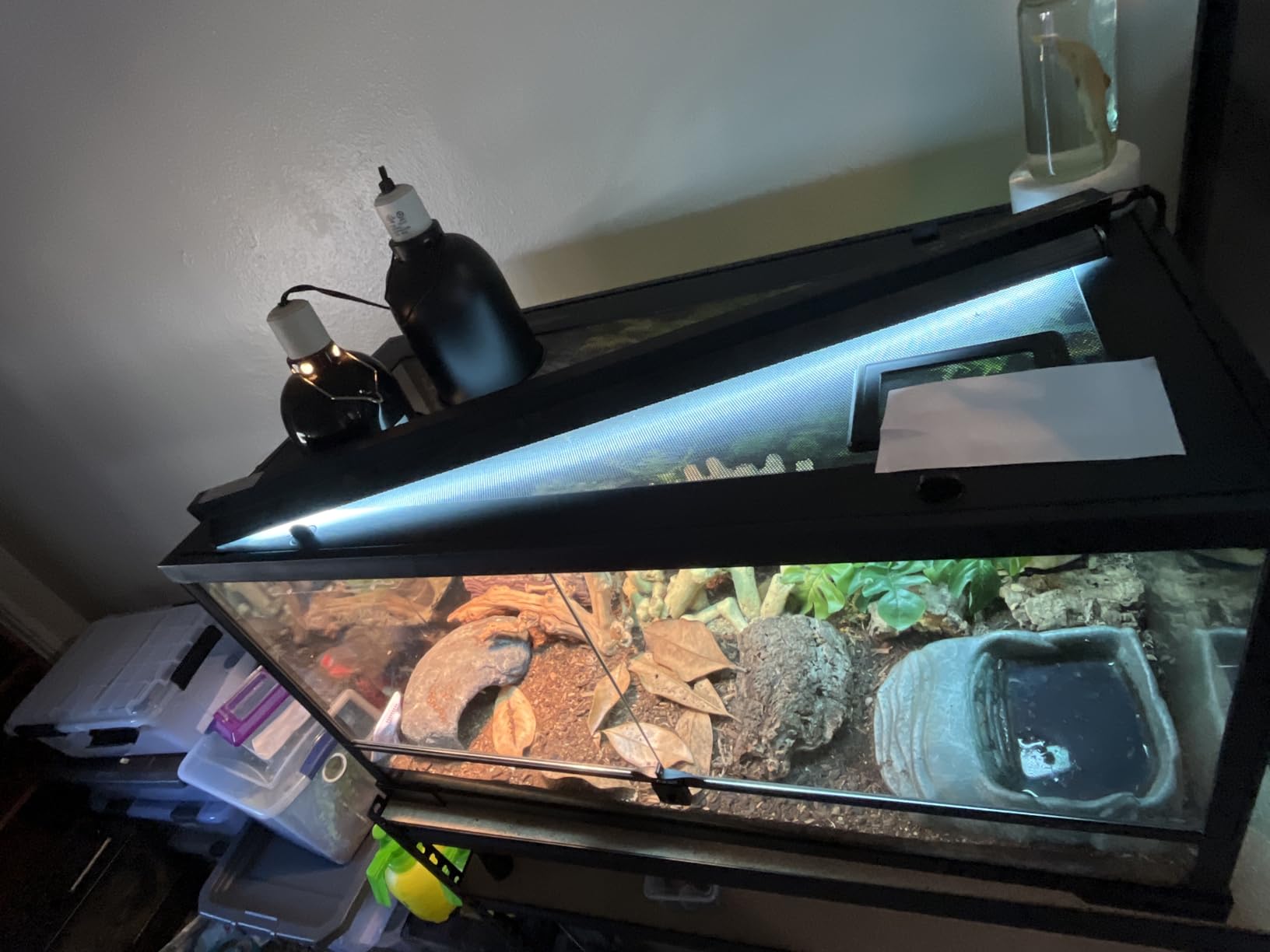 T5 UVB Reptile Light Fixture HO UVB Bulb Lighting Combo Kit, 10.0 UVB Light for Reptiles Terrarium Hood with 39W Reptile Light Bar UVA UVB Desert Lamp for Bearded Dragon Turtle Tank, 34Inch customer photo 2