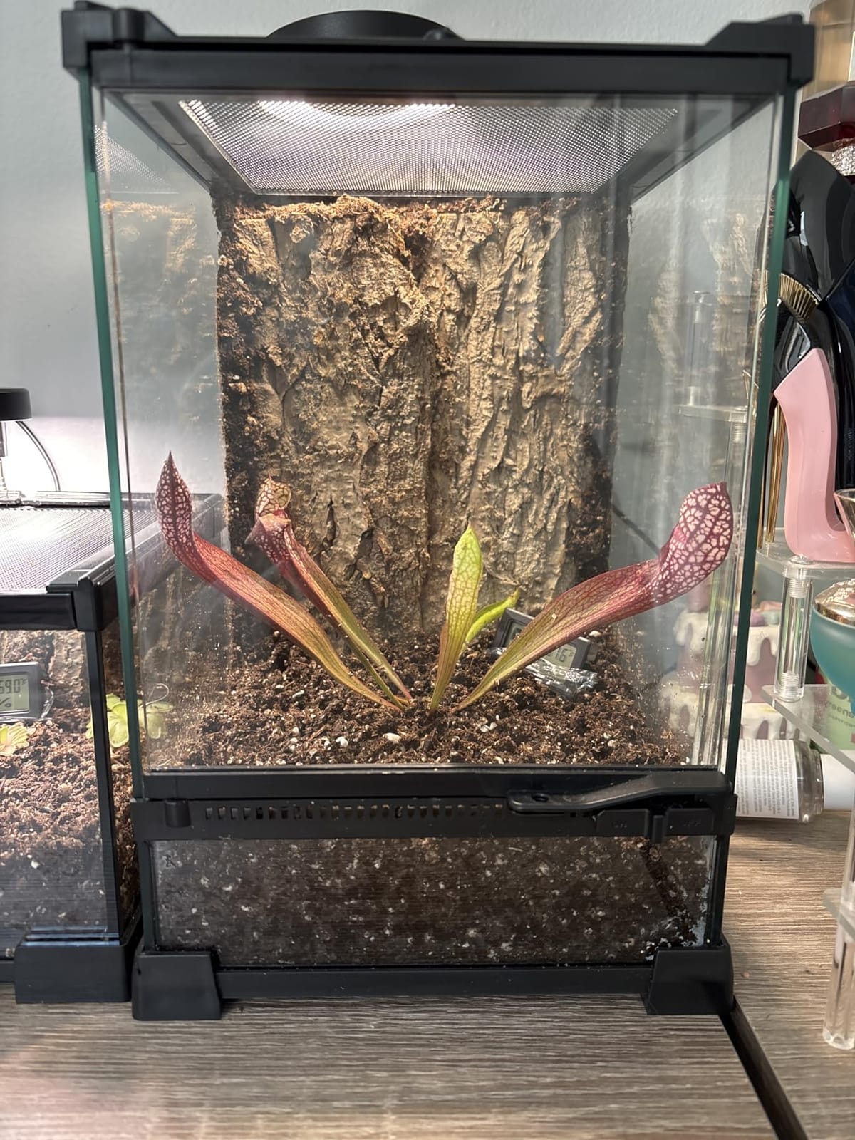 Vertical Glass Reptile Enclosure Terrarium, 10