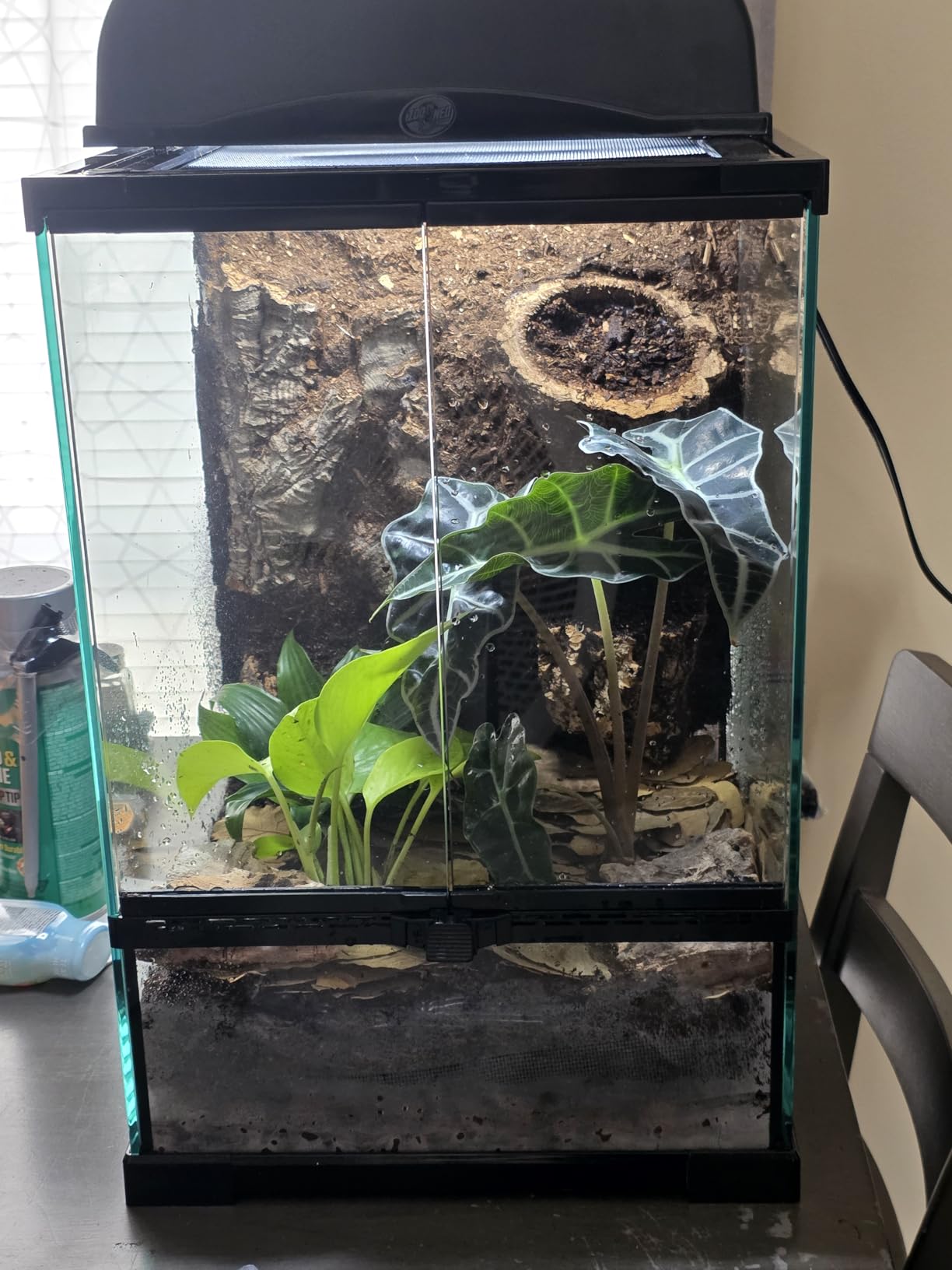 30 Gallon Tall Reptile Glass Tank Terrarium 18