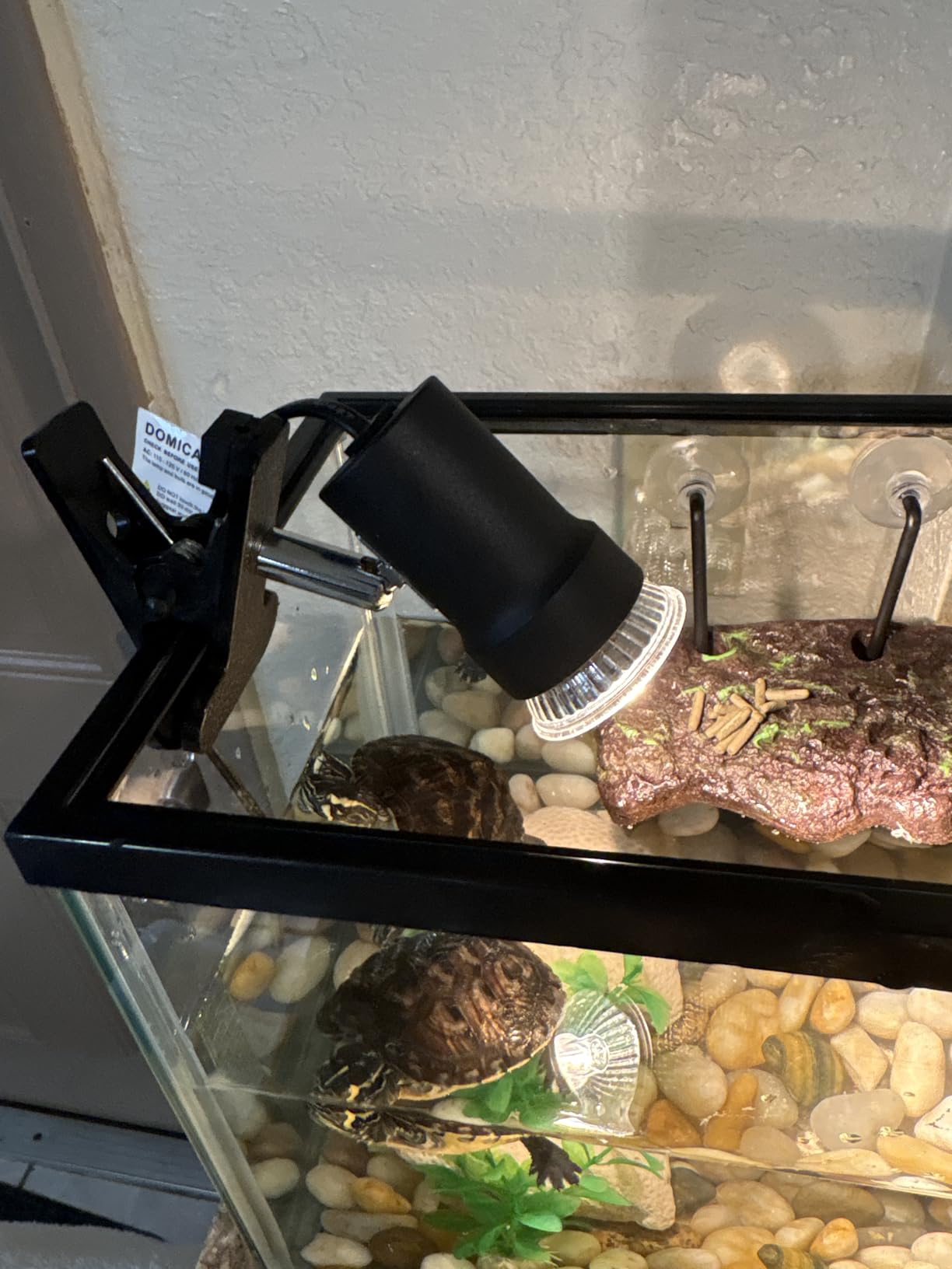 DOMICA Turtle Heat Lamp + 2 Heating Bulbs (50W,35W), Reptile UVA UVB Basking Spot Lamp, Warming Light with Clamp for Tortoise, Lizard, Snake, Leopard Gecko, Beared Dragon, Brooder Box customer photo 1