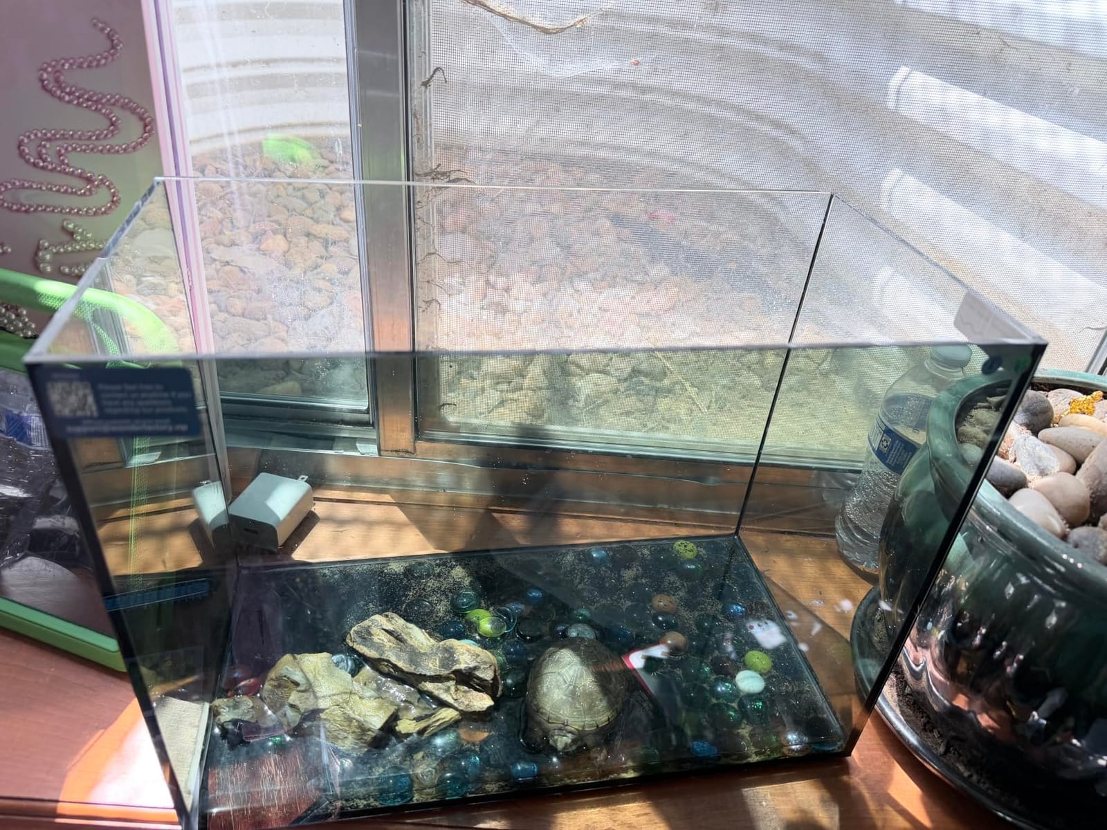 3 Gallon Small Fish Tank Glass Aquarium Set, Starter Kit with Heater Water Pump Cleaning Filter Bright Light Rocks Gravel Cleaning Tool, Leak-Proof Clear Rimless Desktop Spaces Saving Betta Fish customer photo 2