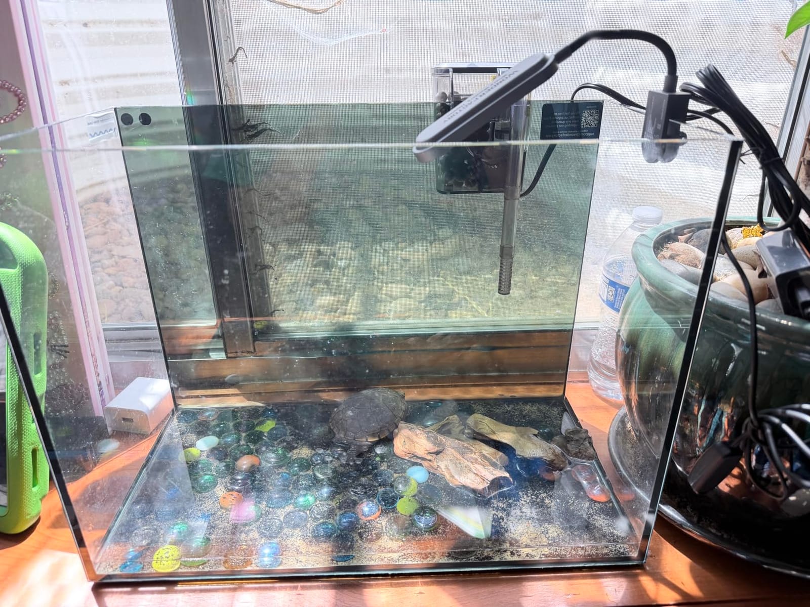 10 Gallon Aquarium Set Glass Fish Tank, Heater Self Cleaning System Filter with Media Bright Light Cleaning Tool, Leak-Proof Clear Rimless Betta Tropical Freshwater Fish customer photo 2
