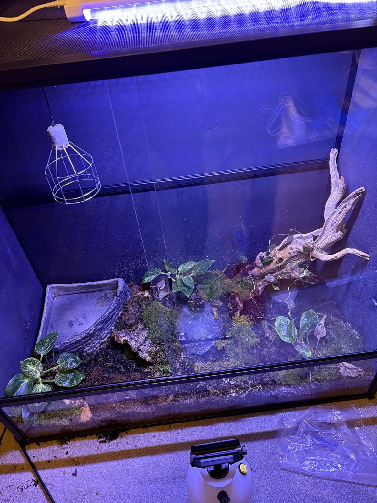 120 Gallon PVC Reptile Enclosure 48