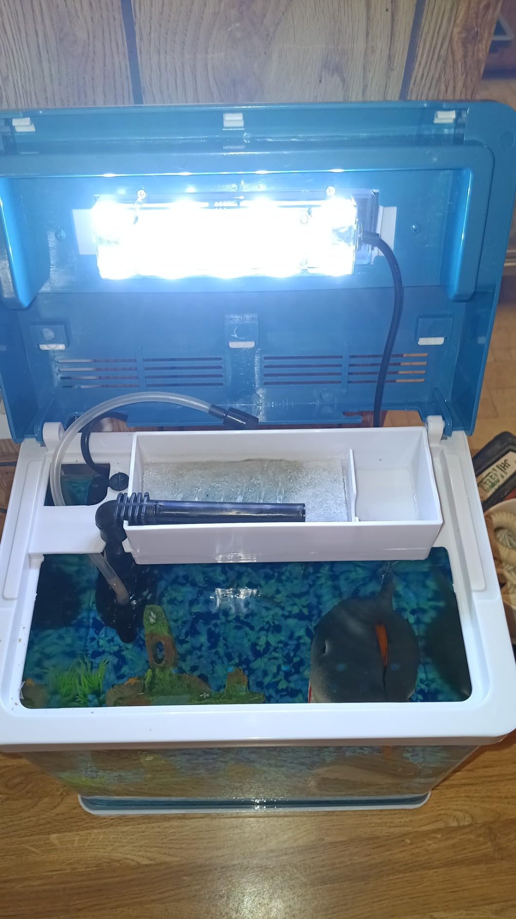 20 Gallon Fish Tank, Betta Large Aquarium Starter Kits，100% Glass Material customer photo 1