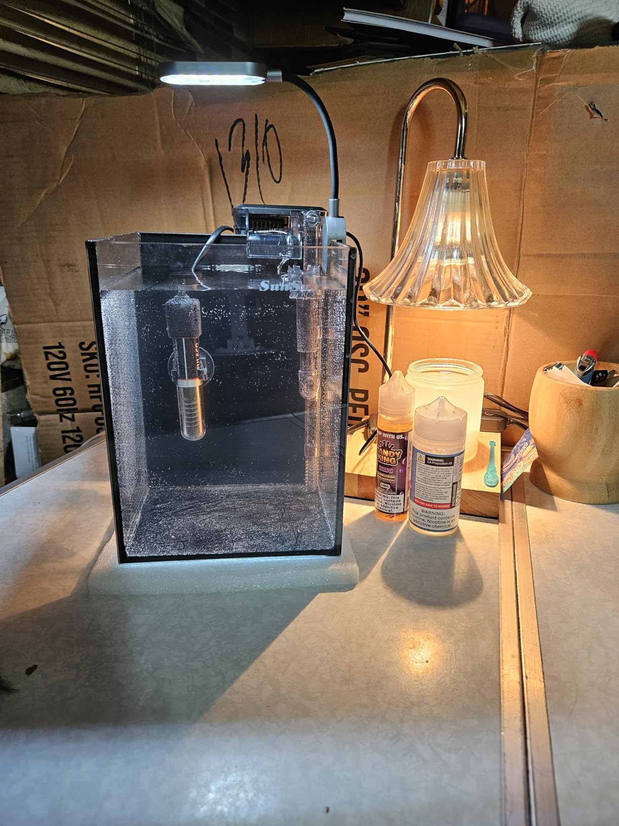Fish Tank Starter Kits, Low Iron Glass Aquarium with Filter, Led Light for Aquascape DIY Small Betta Fish Tank (6 Gallons) customer photo 2