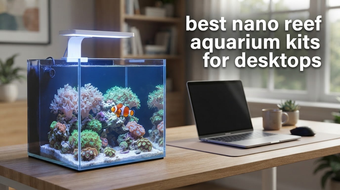 best nano reef aquarium kits for desktops