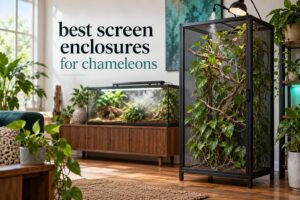 best screen enclosures for chameleons